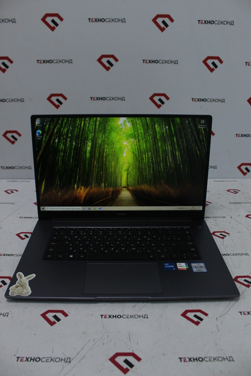 Ноутбук Huawei MateBook D 15 BoDE-WDH9 53013PEX