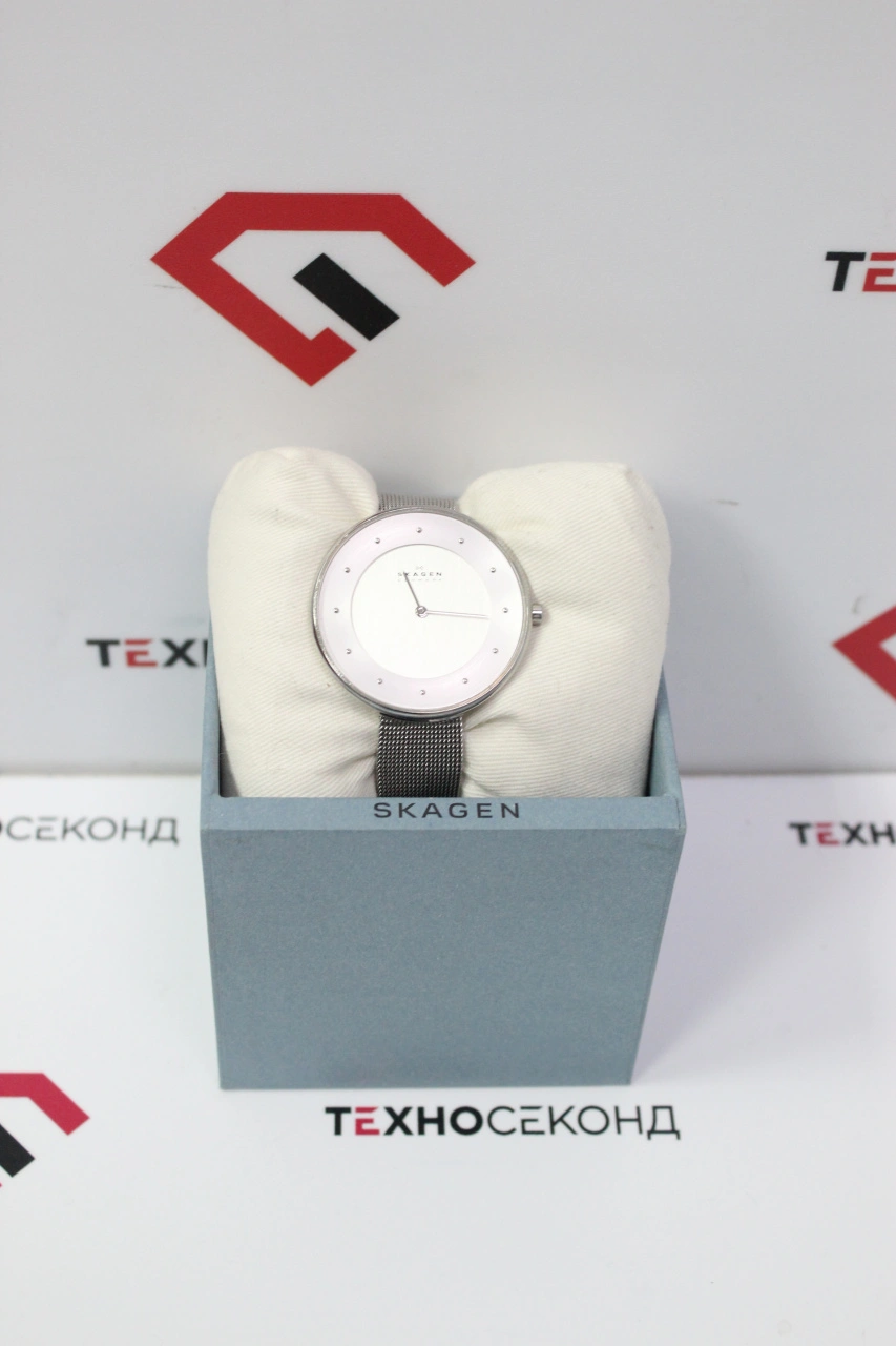 Наручные часы Skagen SKW2140 