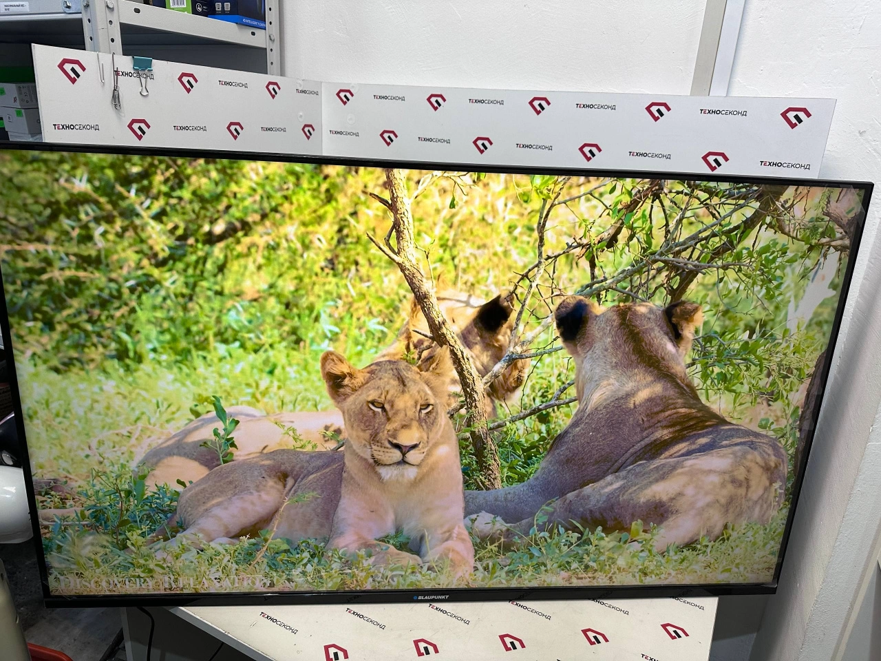 Телевизор Blaupunkt 50UB7000T 