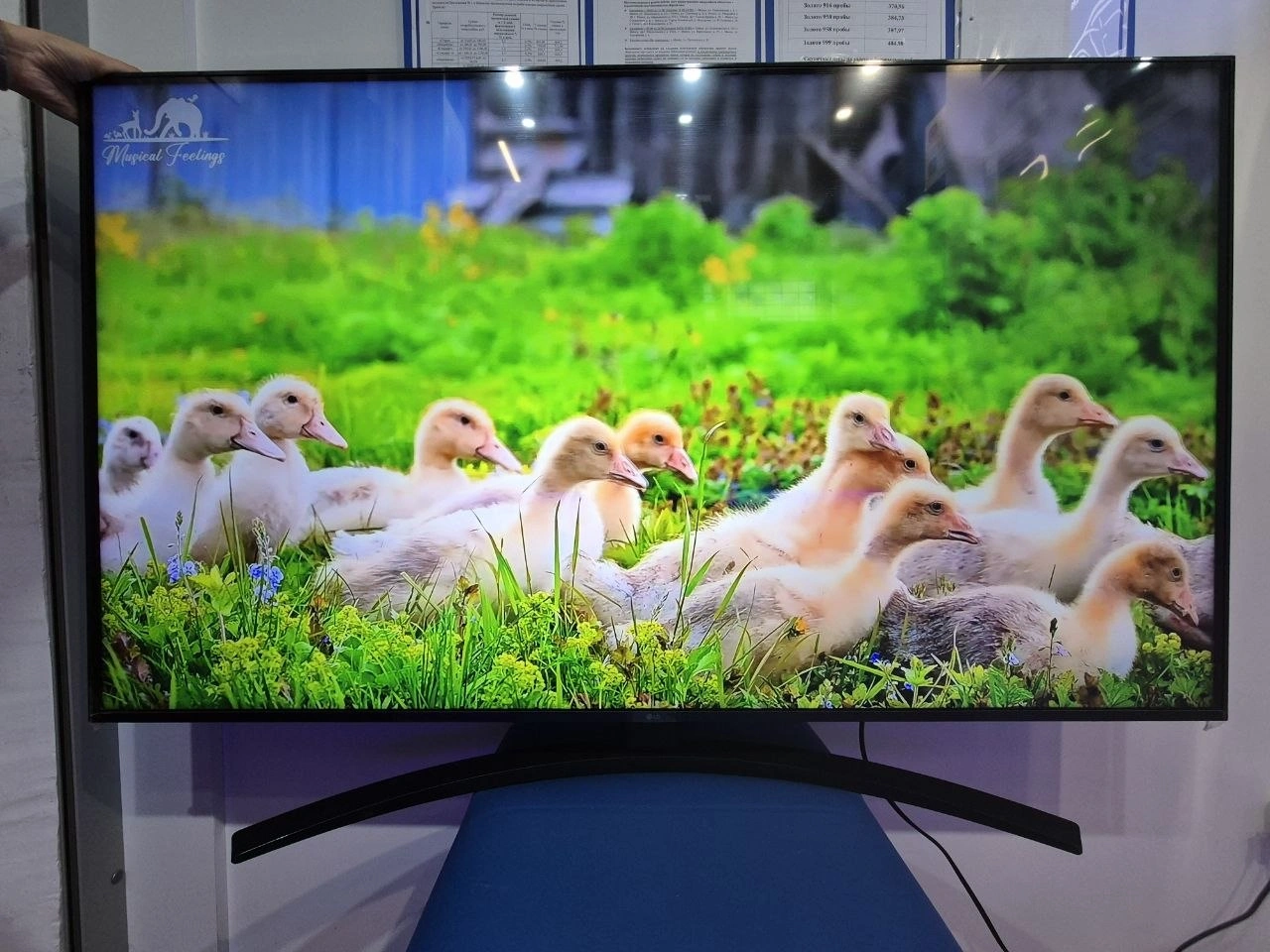 Телевизор LG UT81 55UT81006LA