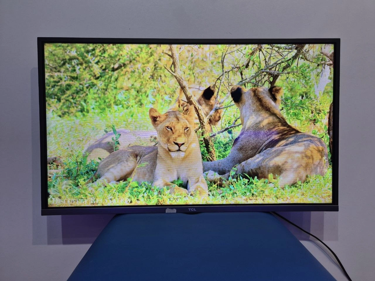 Телевизор TCL 32DS520